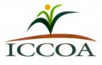 ICCOA Logo