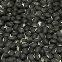 Black pea