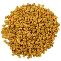 Fenugreek