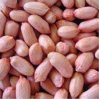 Groundnut