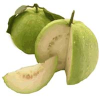 Guava